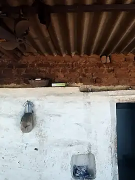 Babita Gori online show from February 15, 6:05 am