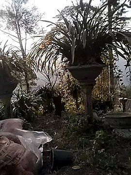 Alibabapi online show from March 1, 9:53 am