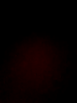 shotindark online show from December 5, 1:45 pm