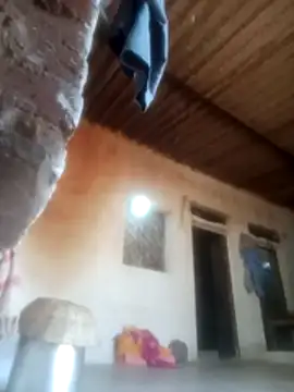 Pinki rajak online show from February 11, 10:50 am