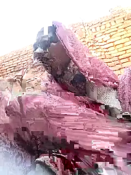 Rakhi cut online show from January 13, 2:39 am