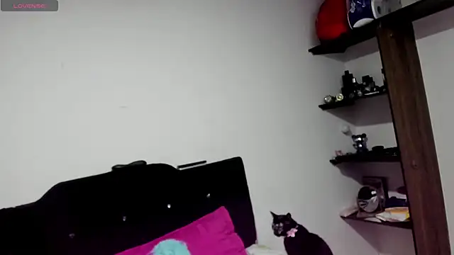 tina2204 online show from April 9, 12:10 pm