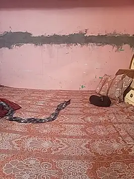 Soni 299 online show from February 22, 9:43 am