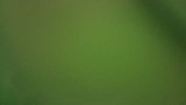 allymoon1369 online show from April 30, 3:56 am