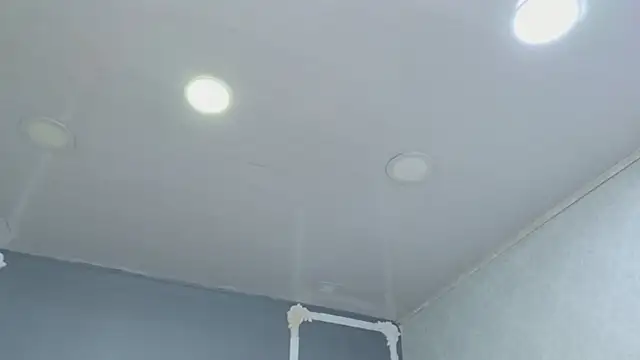 HaileyTims online show from April 29, 11:35 am