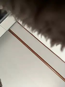 Puka2001 online show from March 8, 5:00 am