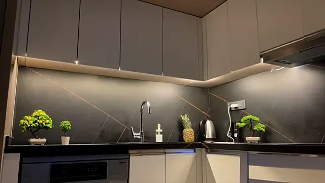 BlackFox V online show from April 5, 9:36 pm