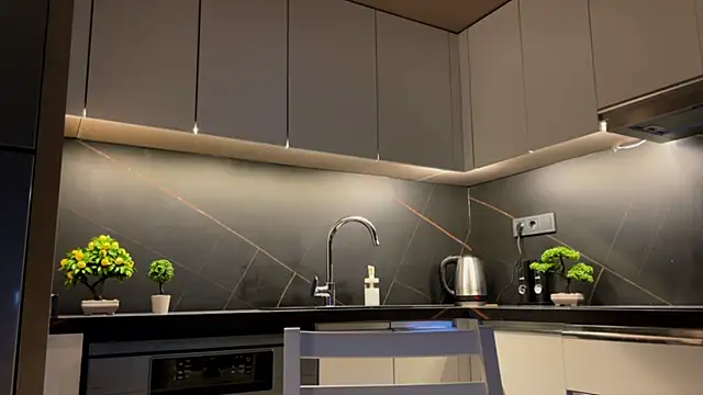 BlackFox V online show from April 3, 9:13 pm