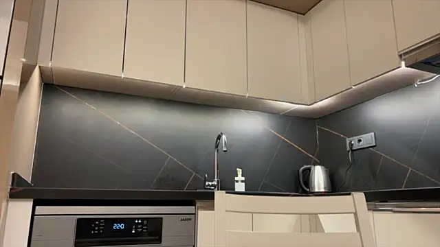 BlackFox V online show from March 28, 9:24 pm