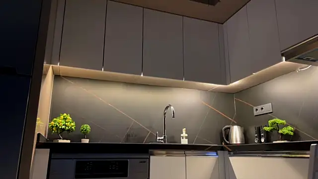 BlackFox V online show from April 4, 9:35 pm