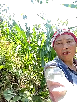 lena-cute online show from May 13, 5:13 am
