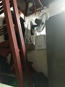 Wildcam21 online show from February 28, 6:35 am