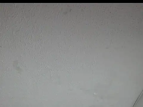 peytonbrunette online show from April 10, 6:30 am