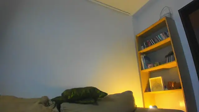 Imperfect me online show from March 31, 7:25 pm