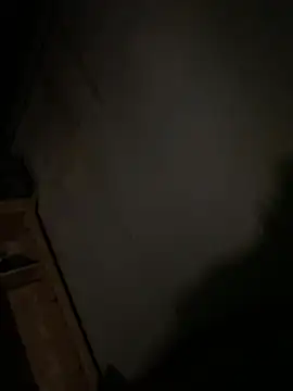 zhaoshangliu online show from March 3, 12:27 am