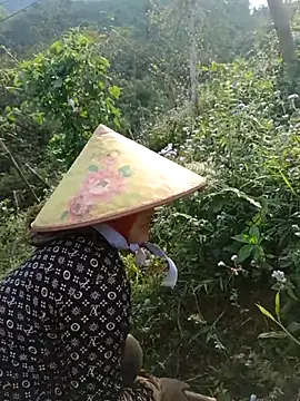 nelina 12345 online show from March 31, 7:41 am