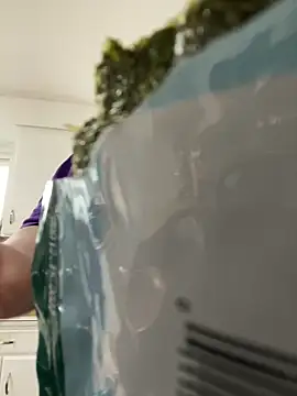 plushietoy online show from March 26, 1:52 am