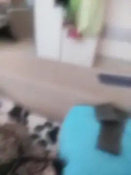 VeraVS online show from April 1, 4:02 am