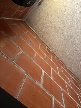 La Canelita Dulce online show from March 26, 1:35 pm