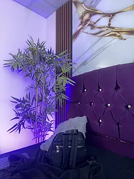 aurora ec online show from March 8, 1:04 pm