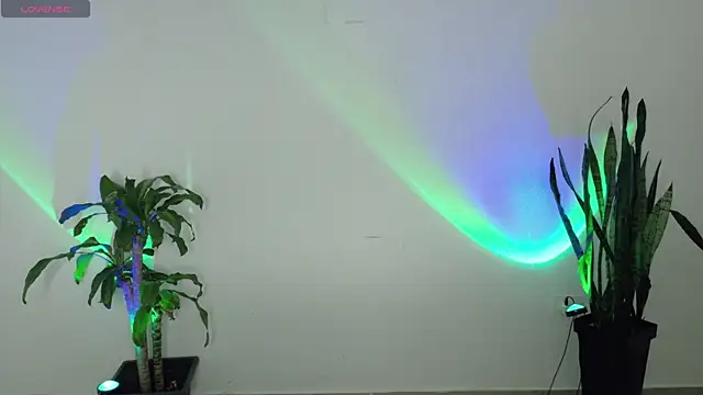 miiiss angeeel online show from March 26, 2:25 am