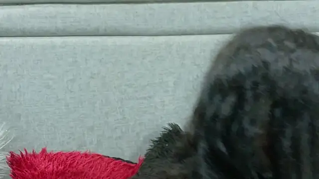 Naomimolie online show from May 14, 12:44 pm