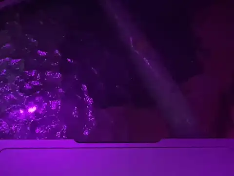 noahnox online show from March 17, 4:05 am