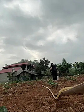 HaleyMin online show from March 20, 1:43 am