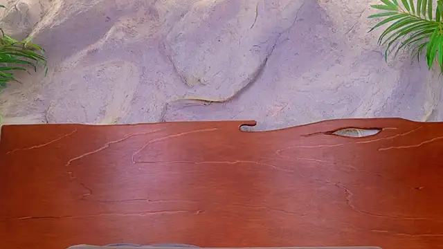 Barbiie black online show from April 8, 4:20 pm