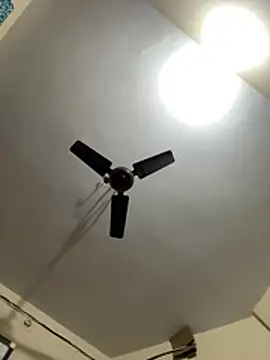 rimidas56564 online show from April 8, 4:53 pm