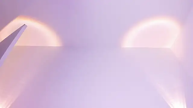 ada lee1 online show from April 8, 1:13 pm