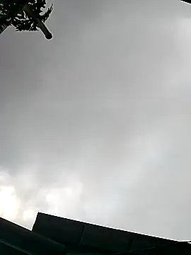 Cute-flowers online show from March 21, 2:38 am