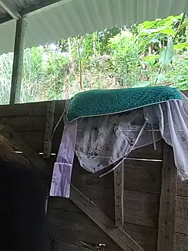 Ruby Lucy online show from July 5, 5:24 am