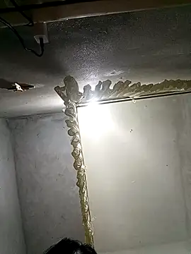 Candy-sexyy online show from April 3, 6:44 am