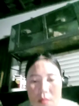 Lily Daisy online show from April 4, 1:54 pm