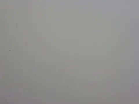 subarna012 online show from April 8, 9:44 am