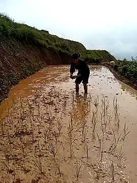 LucyBri01 online show from April 18, 2:03 am