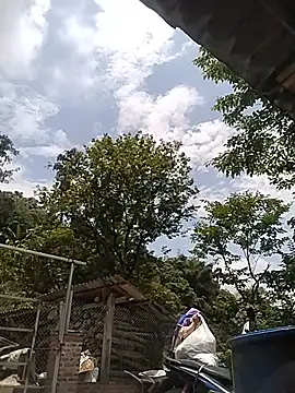 Caily-ly online show from May 19, 5:14 am