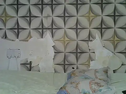 fine grap online show from May 25, 5:28 am