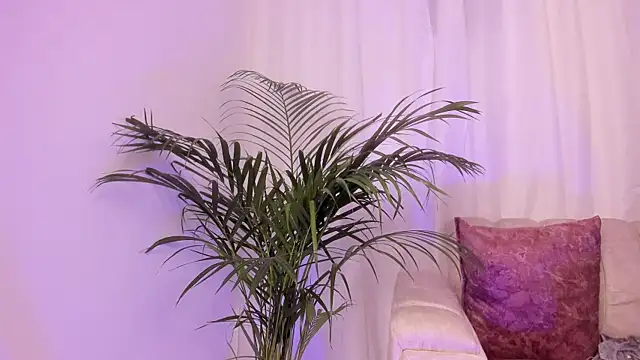 scarlet boobs01 online show from June 25, 11:45 am