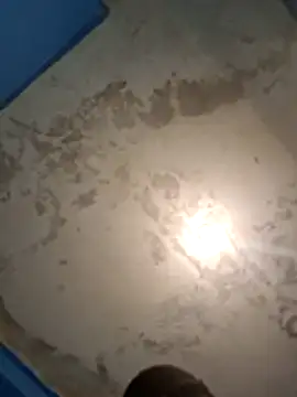 Elenarodriguez online show from August 3, 3:43 am
