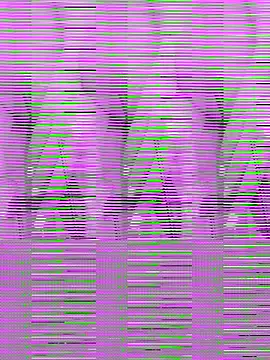 sara kimoo online show from November 18, 4:30 pm