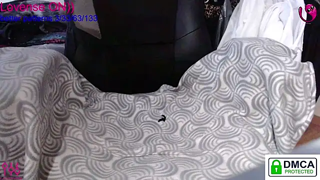 sweet cute cat online show from December 15, 9:36 am