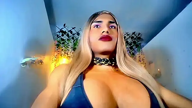 paulabigcock online show from February 14, 3:47 pm