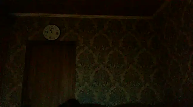 Snapshot of WildMissNiks chatting on December 2, 8:59 am WildMissNiks online show from December 2, 8:59 am