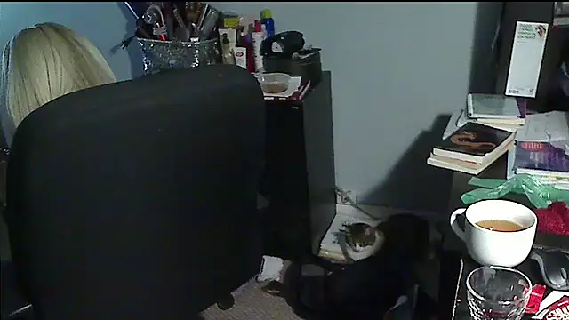 XTRAHORNYONE online show from November 29, 4:49 am