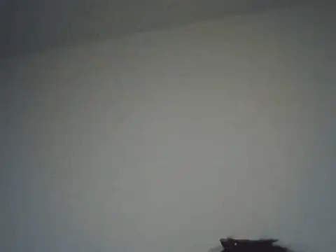 FallenDevil online show from November 16, 8:20 pm