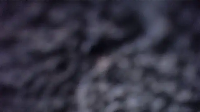 ADRIANNA FOX online show from January 16, 10:44 am