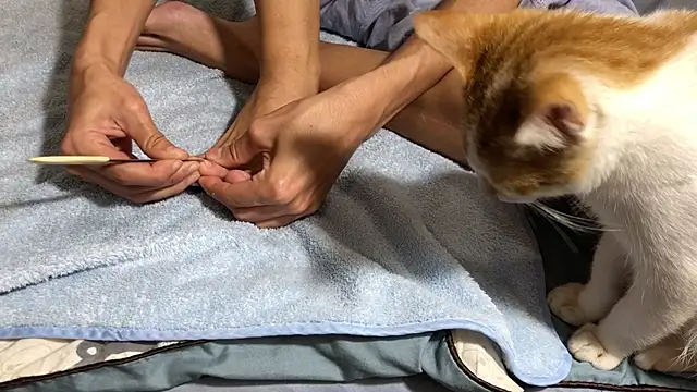 RiderFloor online show from February 8, 8:12 pm