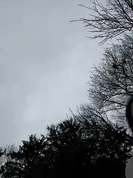 TilaTotti online show from February 10, 9:07 pm